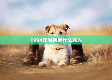 1994年属狗是什么命